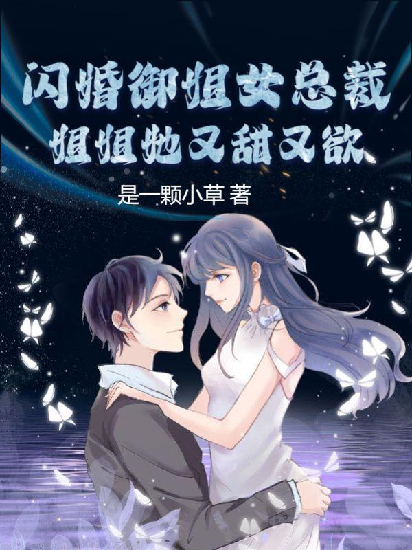 闪婚御姐女总裁，姐姐她又甜又欲