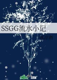 SSGG流水小记