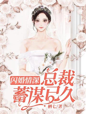 闪婚情深：总裁蓄谋已久